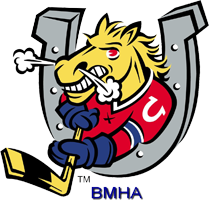 TelusBarrieRedBulls.png